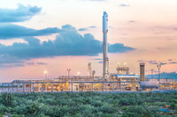 Black River Gold  (2017)