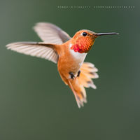 Touch Of Orange (2016)