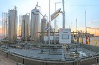 Anaconda Detail  (2013)